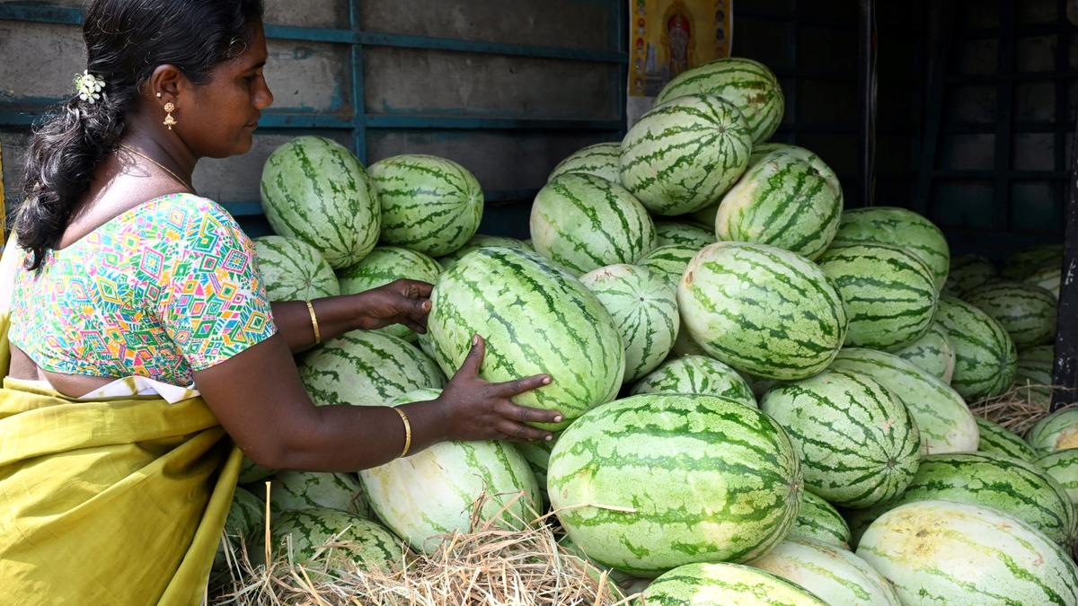इरोड में तावळिया गर्मी सूं बचाव वास्ते लोकां री पसंद – फल आ जूस