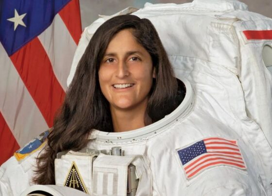 sunita will
